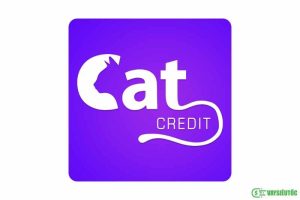 Cat Credit - Vay online đến 20 triệu, duyệt vay nhanh