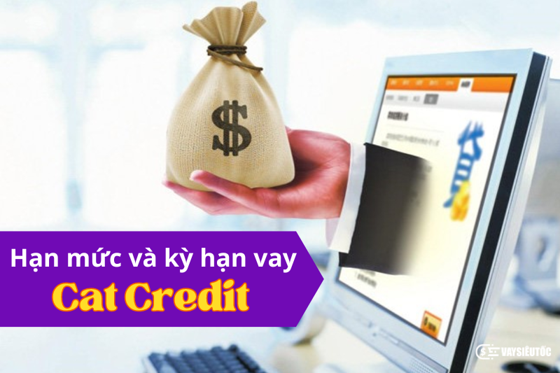 Hạn mức và kỳ hạn thanh toán khoản vay tại Cat Credit