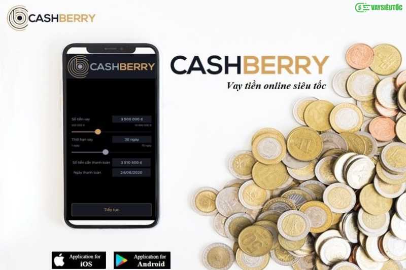 Vay tiền Cashberry