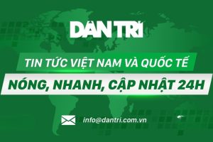 bao dan tri 1 a6770265b7