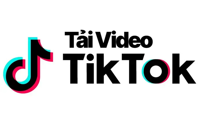 tai video tiktok - Các bước tải trên máy tính
