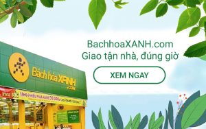 Tại BachhoaXANH, mua hàng nhanh, thanh toán dễ dàng cùng ZaloPay