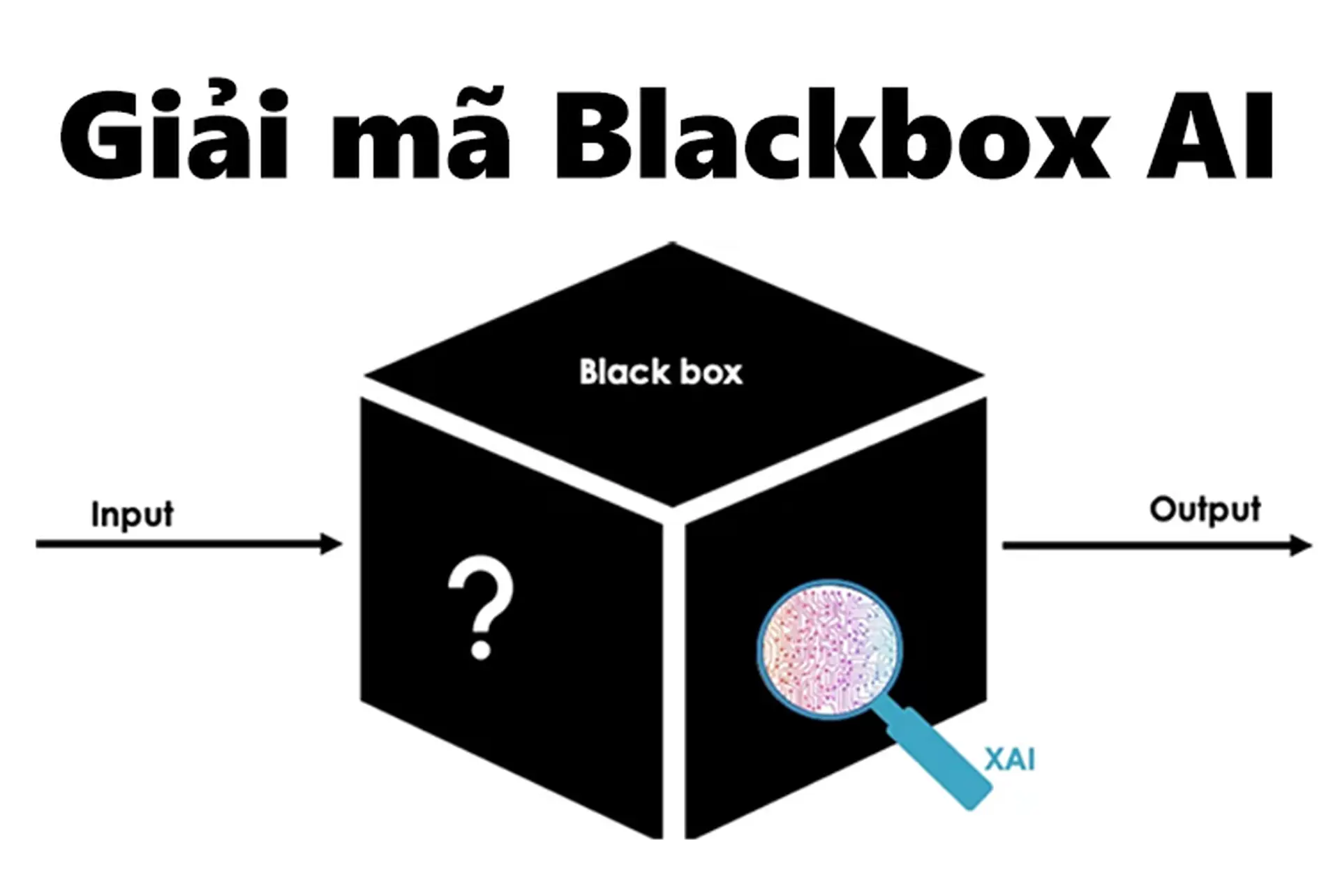 Blackbox AI là gì? Ưu nhược điểm, cách tải và sử dụng Blackbox AI