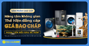Dmx: Giới thiệu Điện Máy Xanh, dịch vụ và lưu ý mua sắm