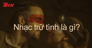 Nhạc trữ tình là gì? Có những dòng nhạc nào?