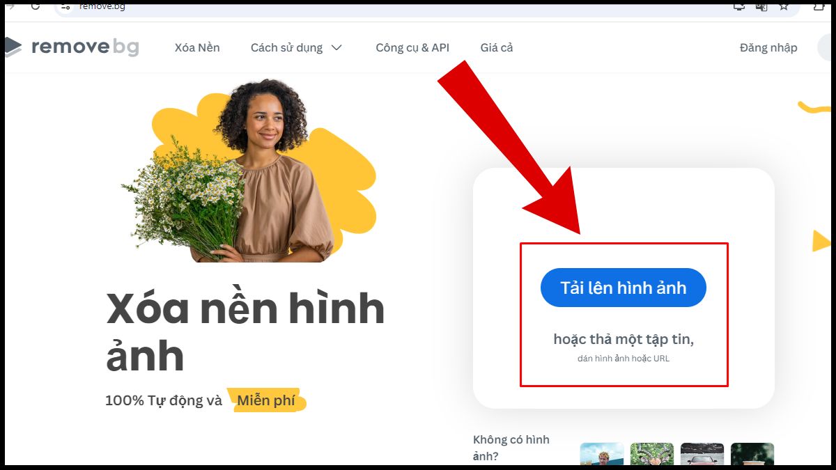 Cách sử dụng Remove BG xóa phông online đơn giản nhất