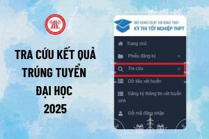 Thisinh.thithptquocgia.edu.vn 2025 tra cứu kết quả trúng tuyển Đại học 2025 chính xác